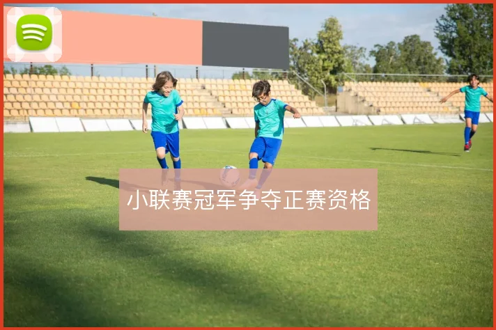 小联赛冠军争夺正赛资格